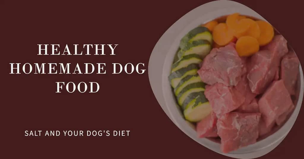 Healthy dog food