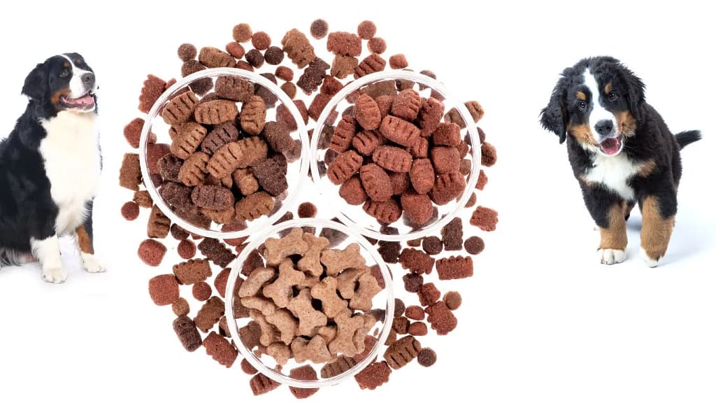 What Is The Difference Between Puppy Food And Dog Food