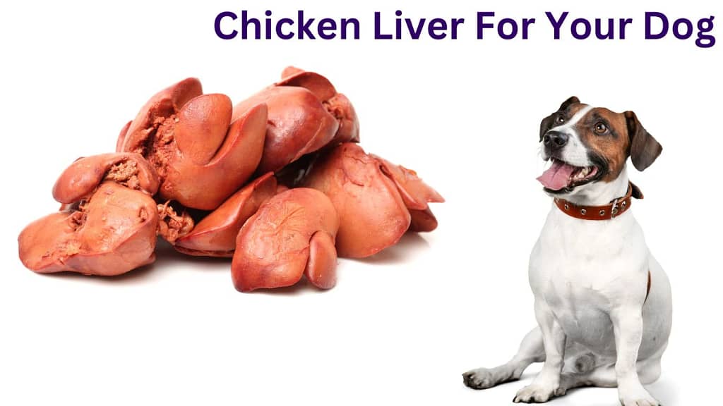 How To Cook Delicious Chicken Liver For Your Dog