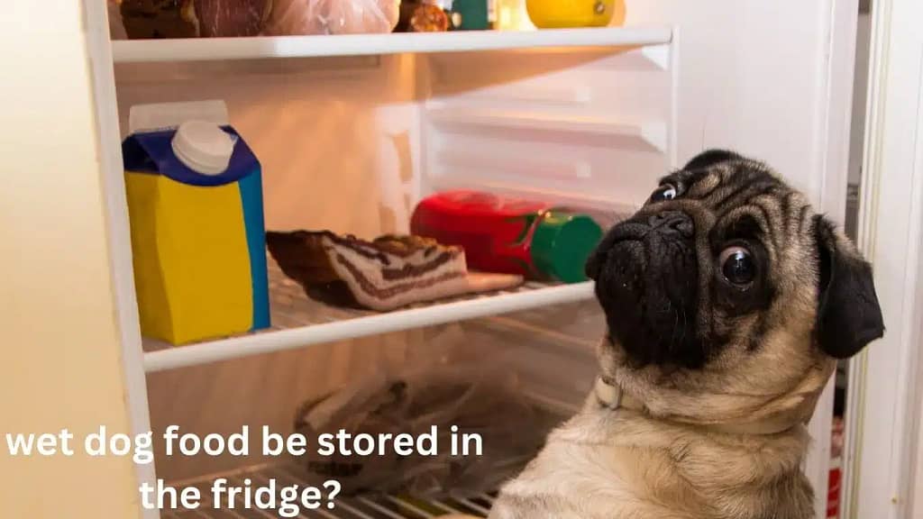 How long can wet dog food be stored in the fridge