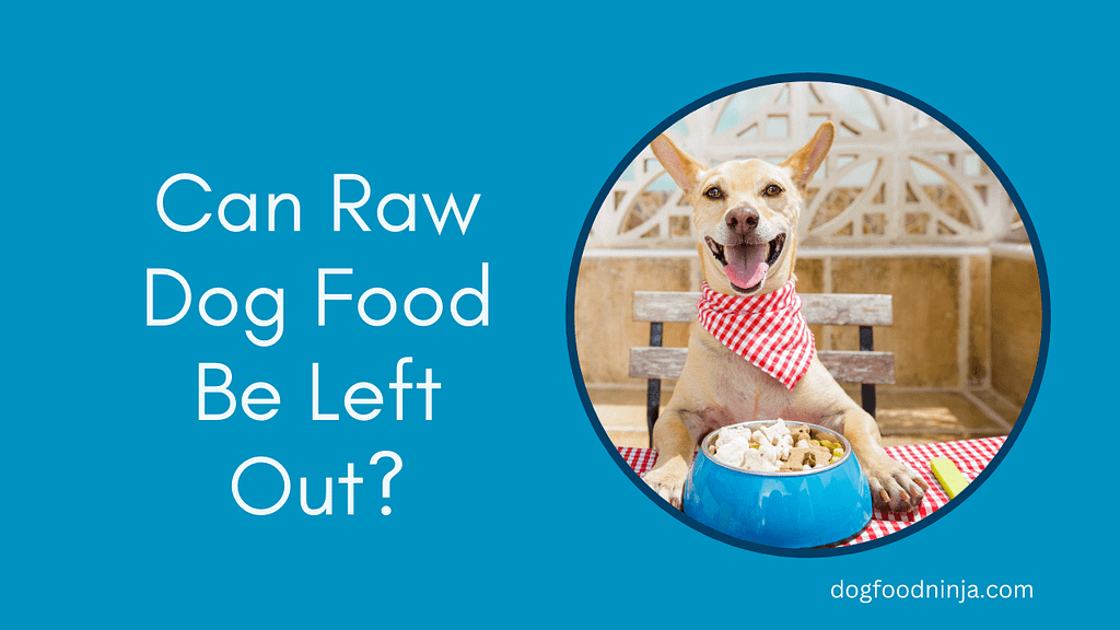 Can Raw Dog Food Be Left Out