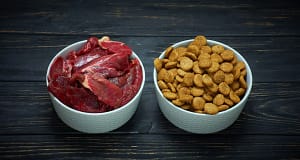 Pros and Cons of Homemade Raw Dog Food