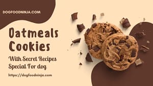 Are Oatmeal Cookies Safe For Dogs To Eat?