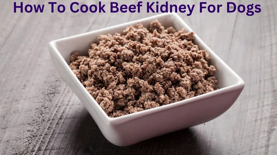 How To Cook Beef Kidney For Dogs: Those You Should Know