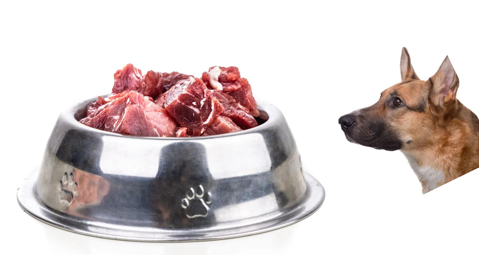 Which Meat Is Best For Dog DogFoodNinja
