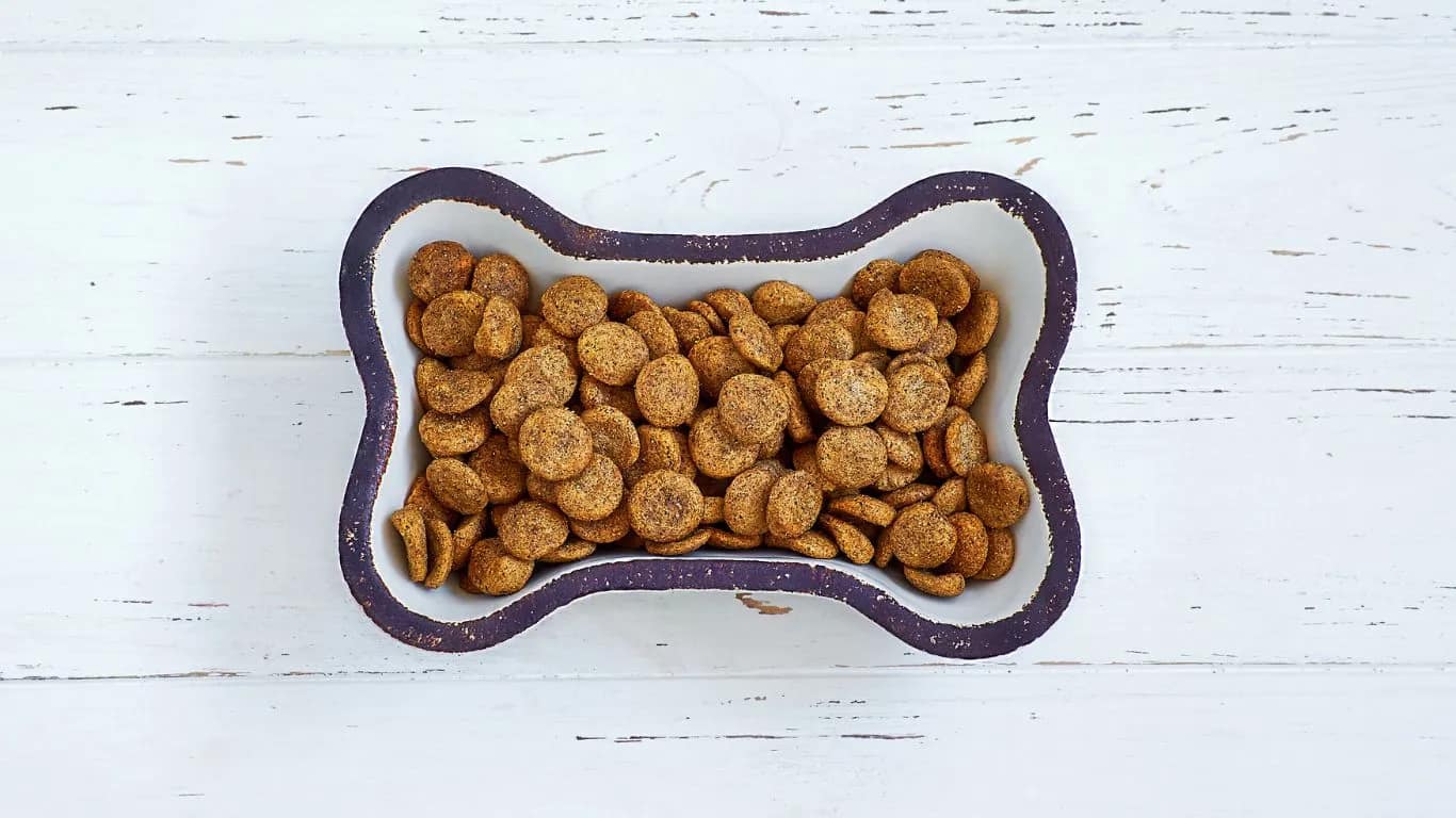 Soft Dry Dog Food For Dogs With Bad Teeth DogFoodNinja